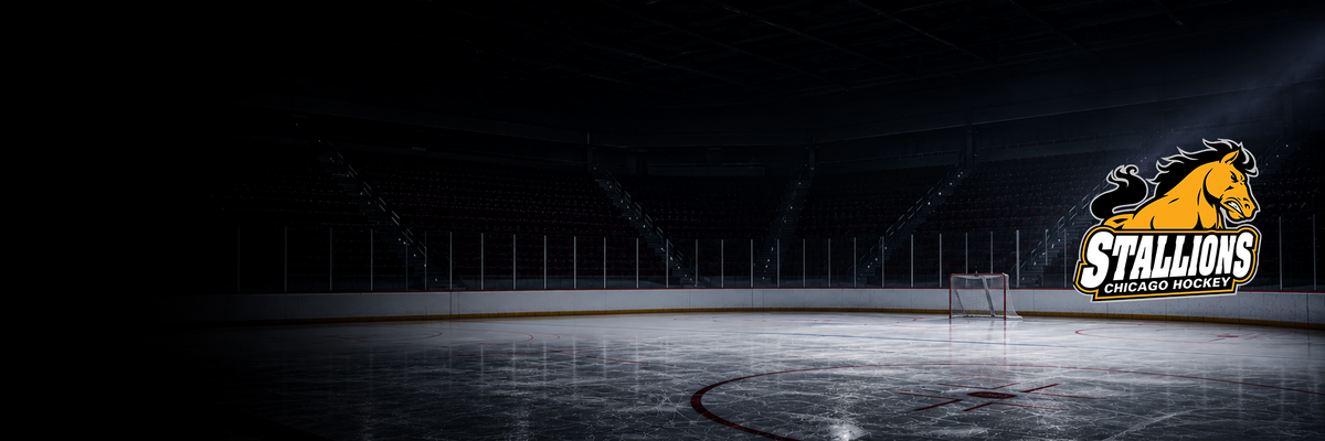 Chicago Stallions Hockey
