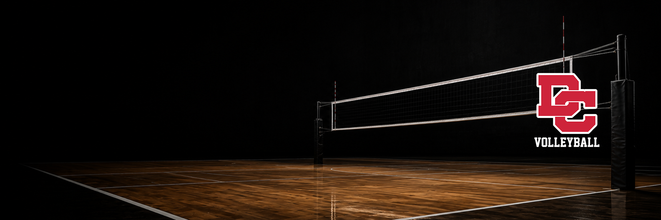 Divine Child Volleyball