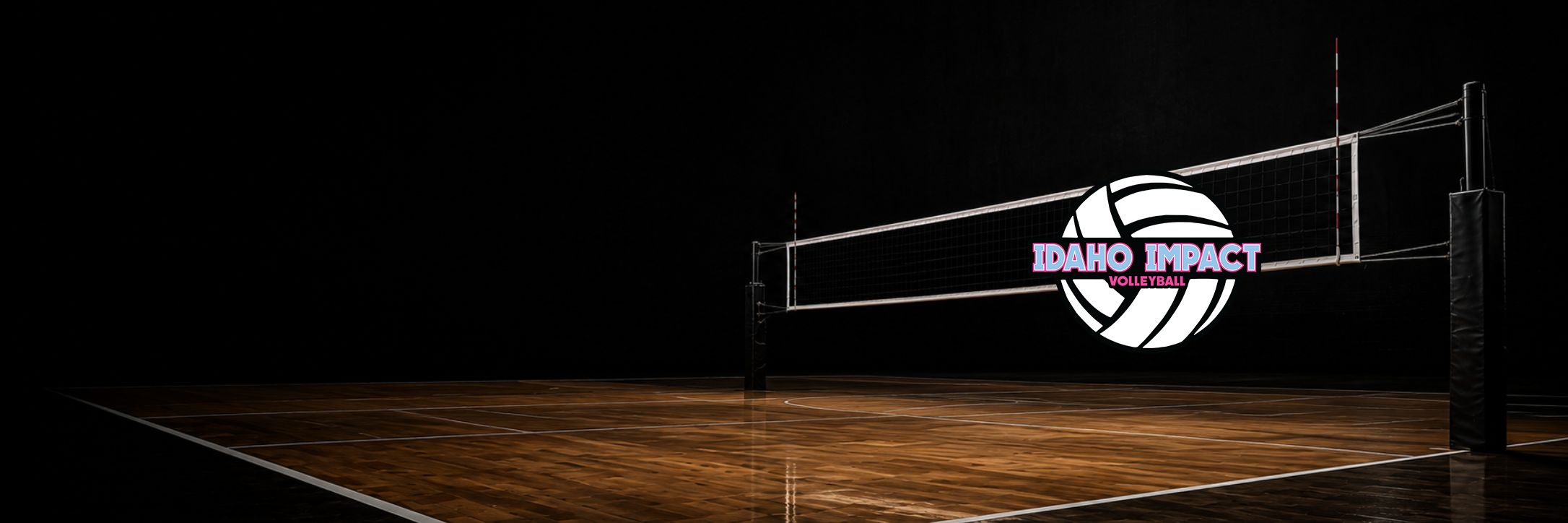 Idaho Impact Volleyball