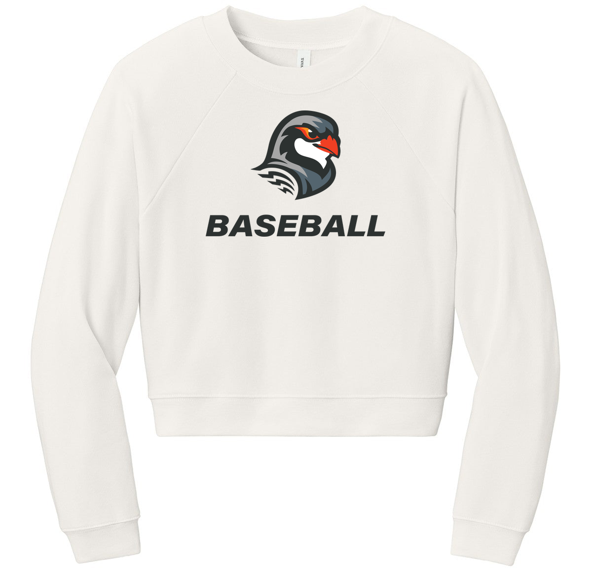 BELLA+CANVAS Women’s Raglan Sponge Fleece Crew