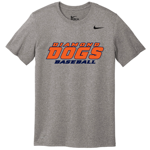 Nike Team rLegend Tee