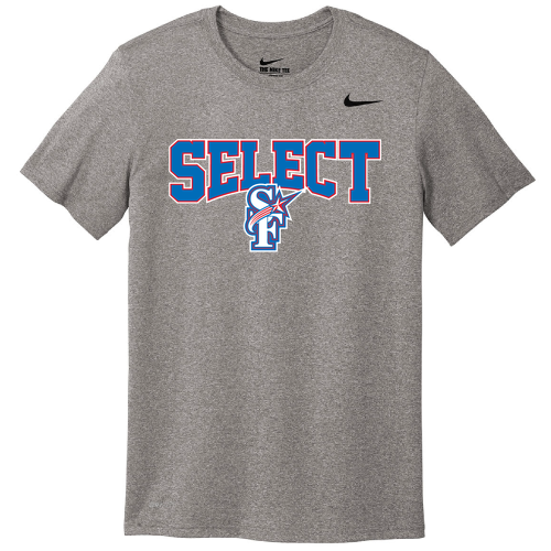 Nike Team rLegend Tee