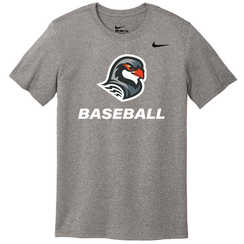 Nike Team rLegend Tee