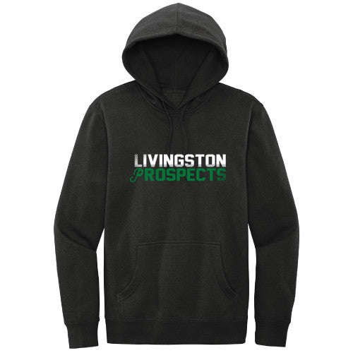 Softstyle Fleece Hoodie