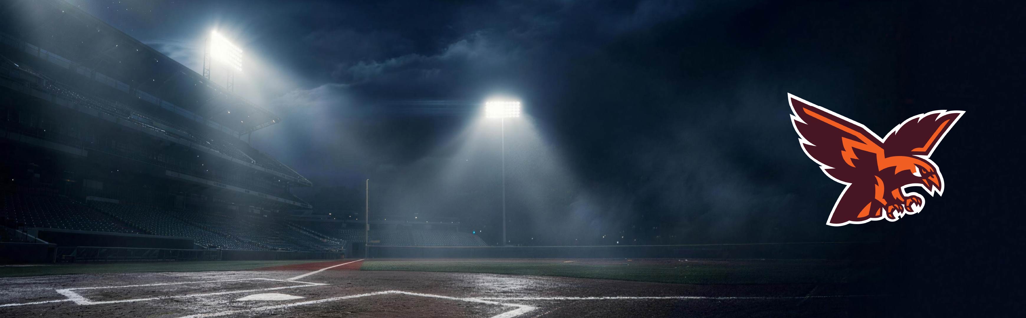 Michigan Firehawks