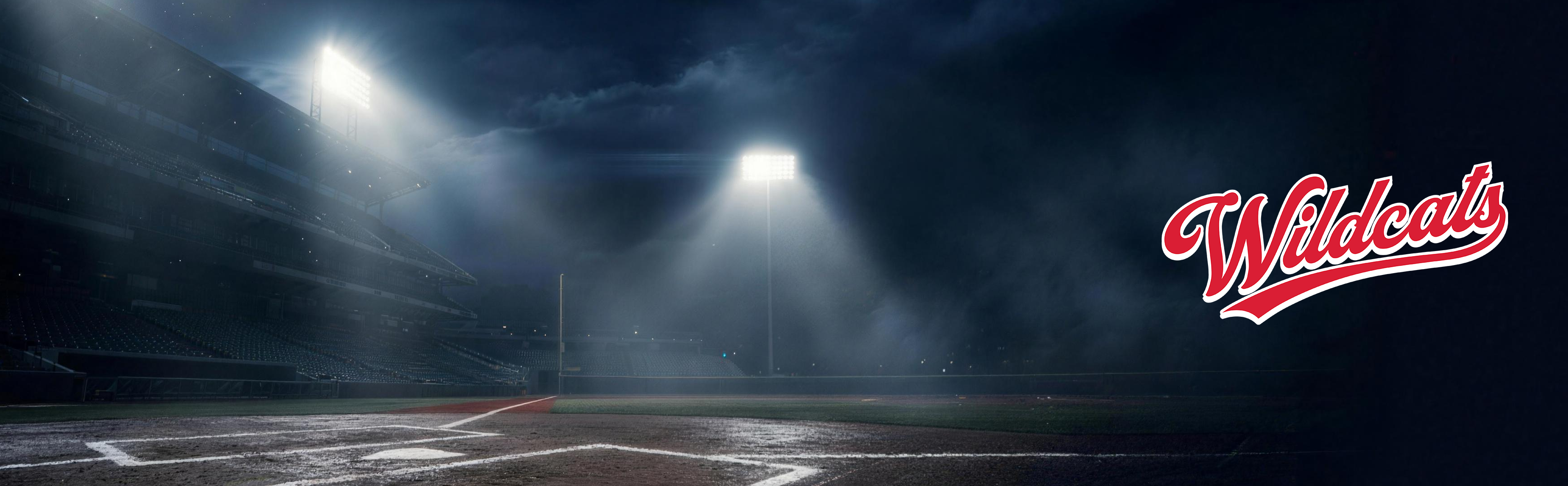 Michigan Wildcats Baseball