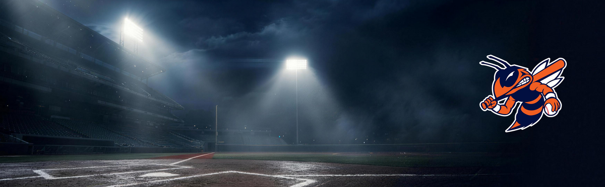 Sting Baseball Michigan