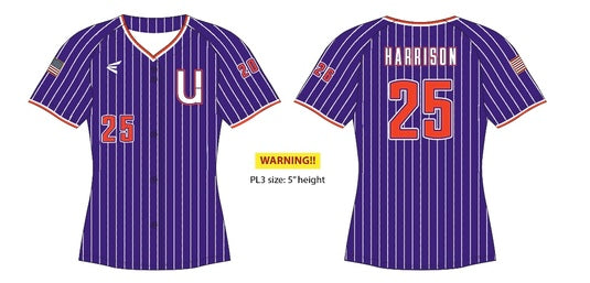 Easton Womens Button-Up Jersey - Purple Pinstripe