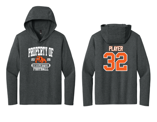 Tri-Blend Long Sleeve Hooded Tee