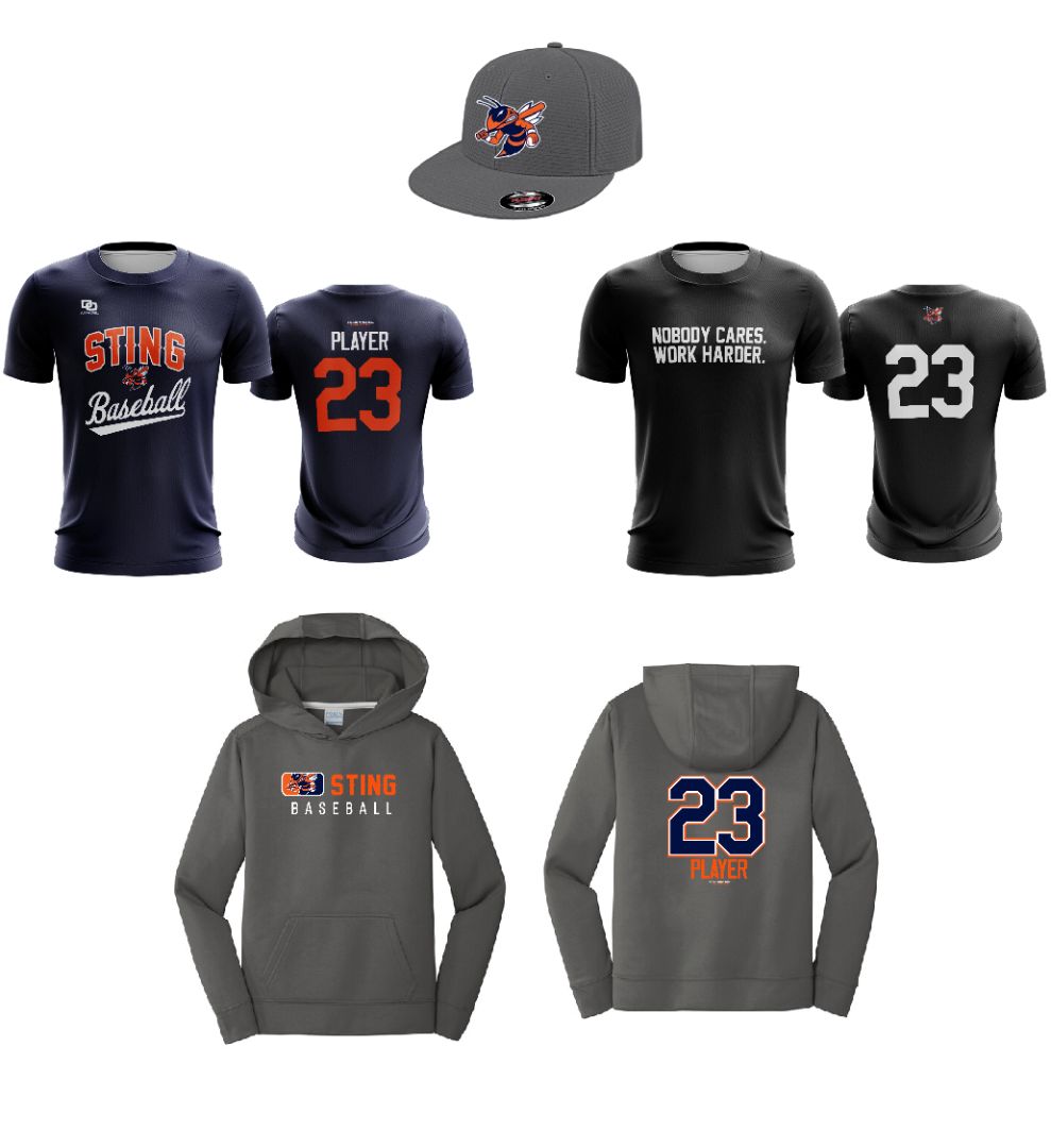 bundle_sting-baseball-michigan_15341446168866.png