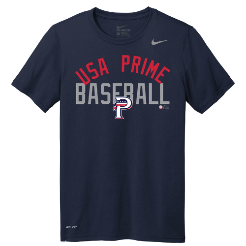 Nike Team rLegend Tee