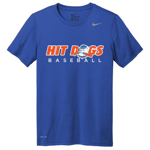 Nike Team rLegend Tee