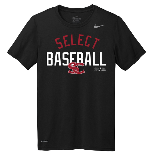 Nike Team rLegend Tee