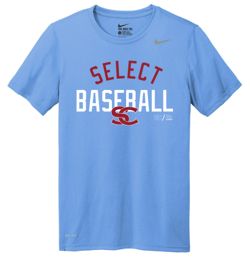 Nike Team rLegend Tee