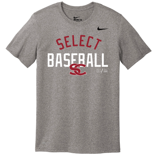 Nike Team rLegend Tee