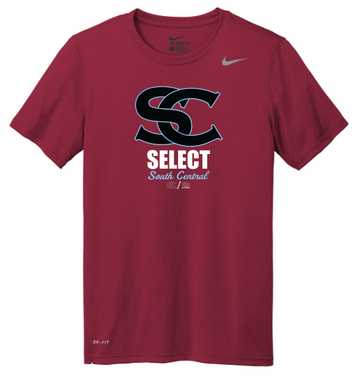 Nike Team rLegend Tee