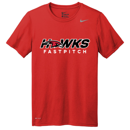 Nike Team rLegend Tee