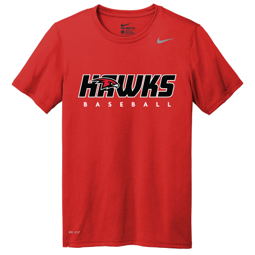 Nike Team rLegend Tee