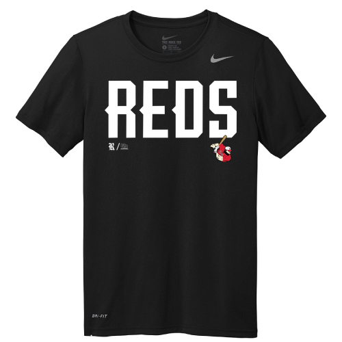Nike Team rLegend Tee