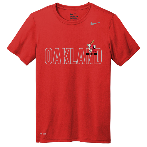 Nike Team rLegend Tee