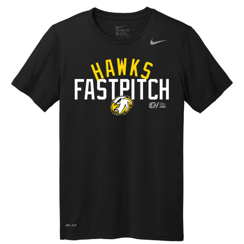 Nike Team rLegend Tee