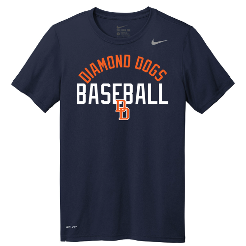 Nike Team rLegend Tee