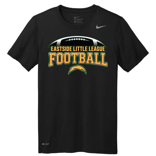 Nike Team rLegend Tee