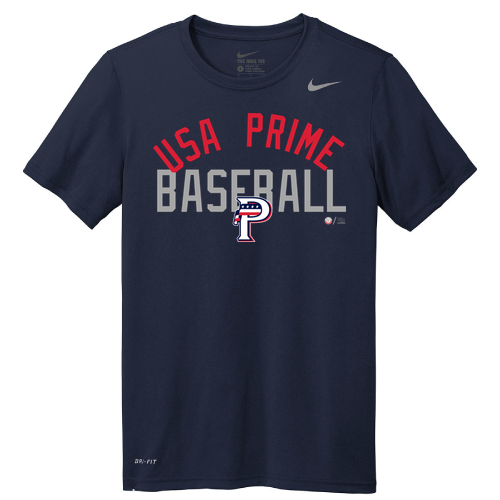 Nike Team rLegend Tee
