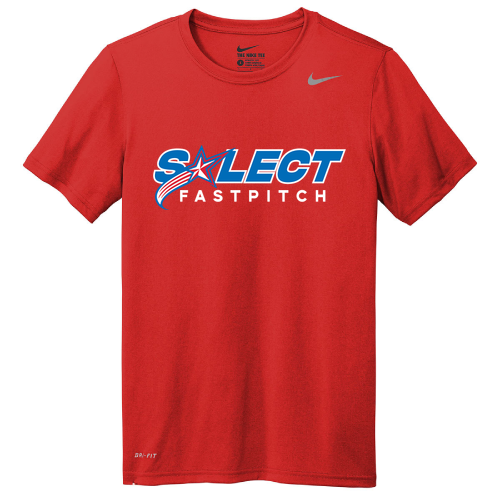 Nike Team rLegend Tee