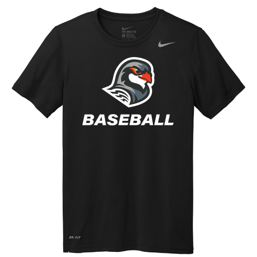 Nike Team rLegend Tee