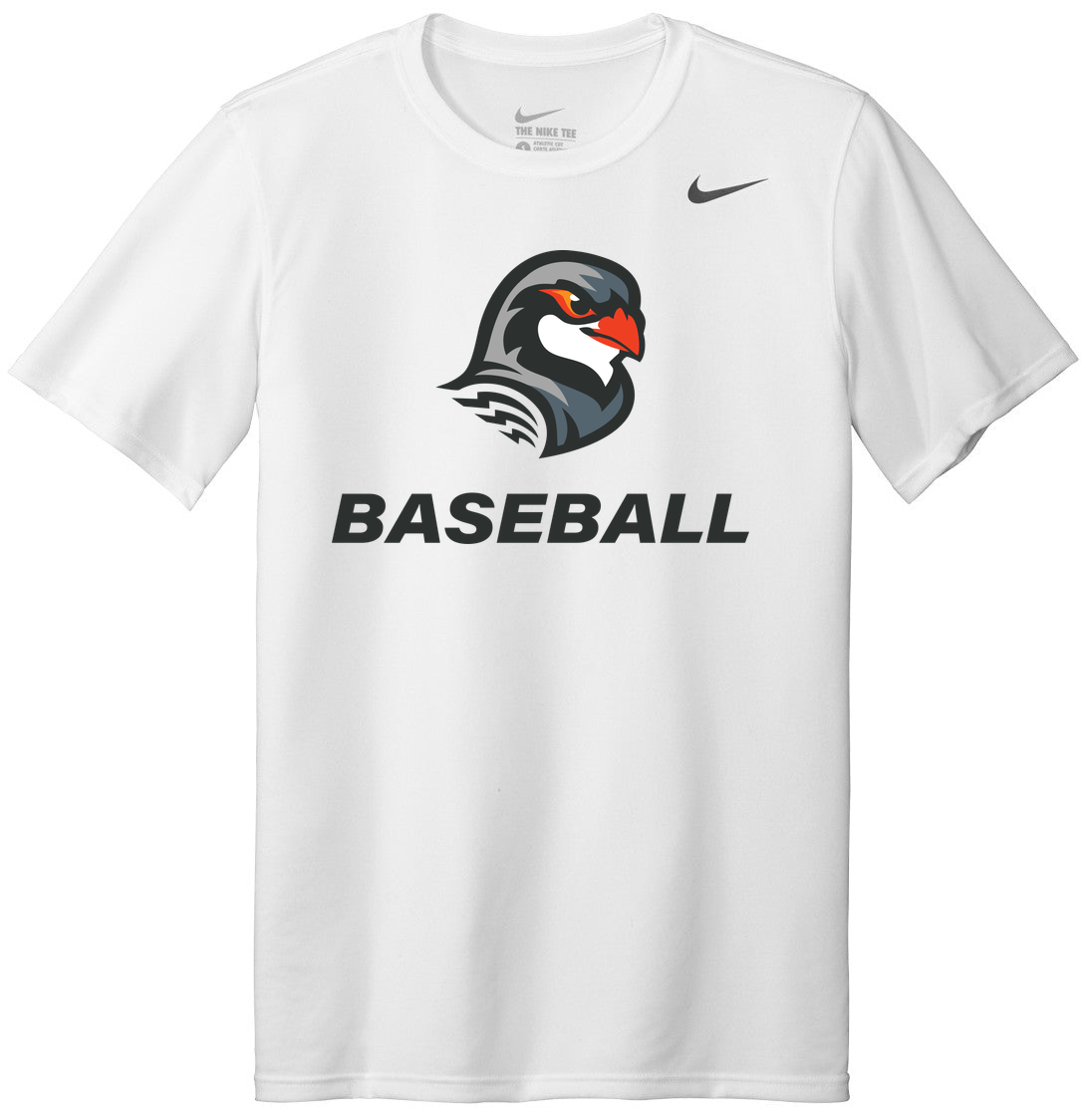 Nike Team rLegend Tee