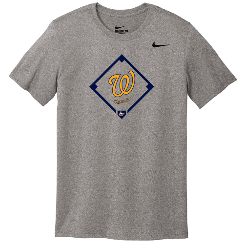 Nike Team rLegend Tee