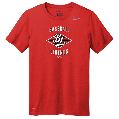 Nike Team rLegend Tee