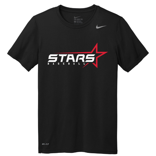 Nike Team rLegend Tee