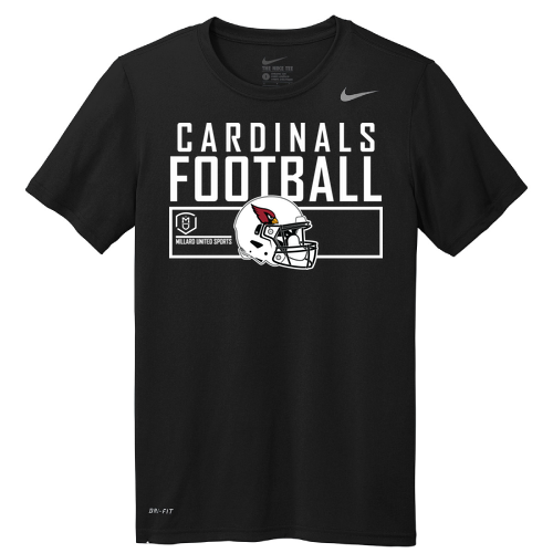 Nike Team rLegend Tee