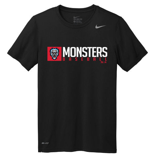 Nike Team rLegend Tee