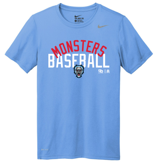 Nike Team rLegend Tee
