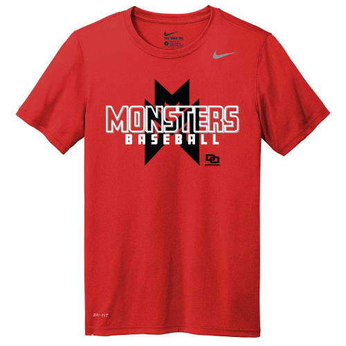 Nike Team rLegend Tee