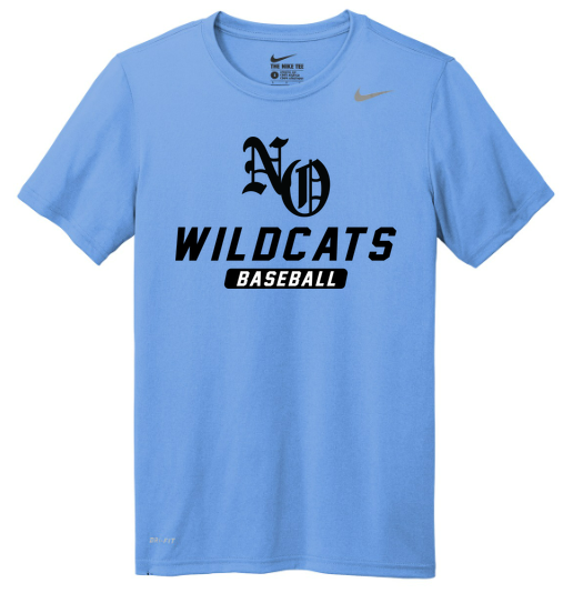 Nike Team rLegend Tee