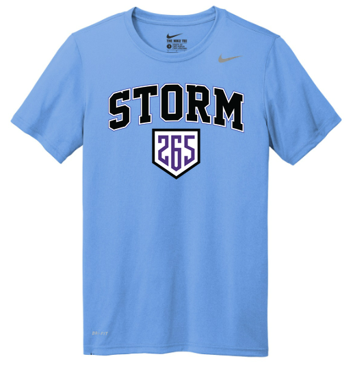 Nike Team rLegend Tee