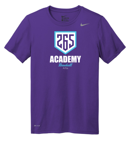 Nike Team rLegend Tee