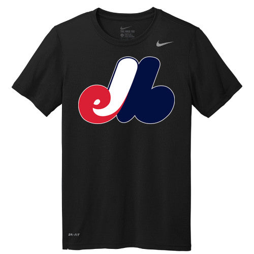 Nike Team rLegend Tee
