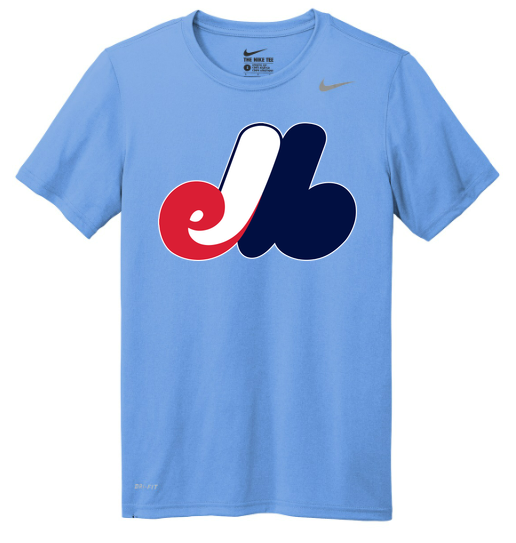 Nike Team rLegend Tee