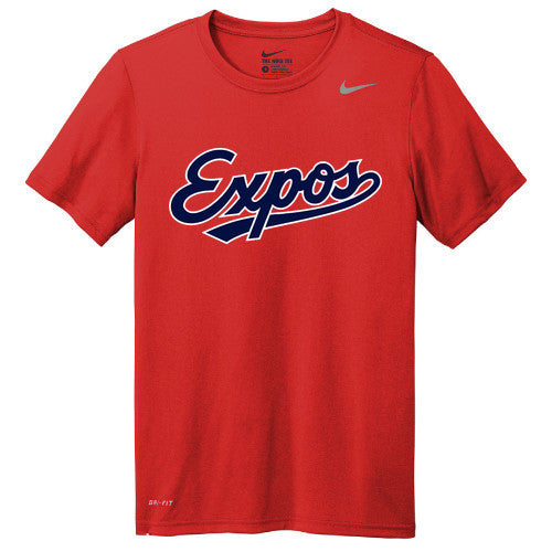 Nike Team rLegend Tee