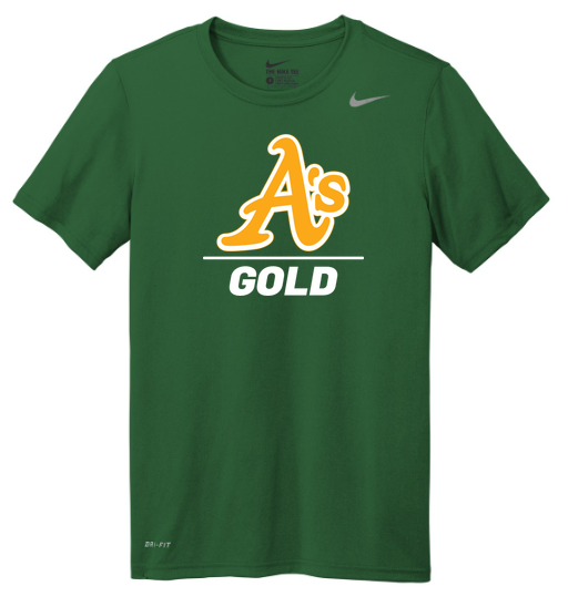 Nike Team rLegend Tee