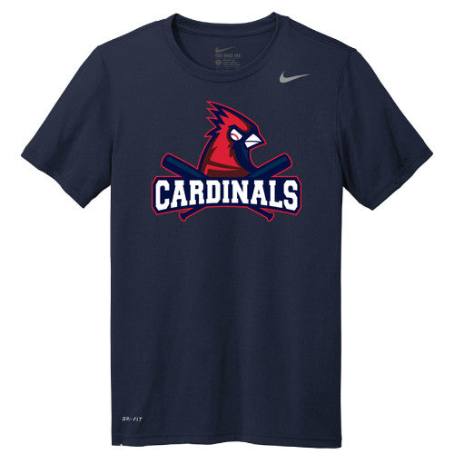 Nike Team rLegend Tee