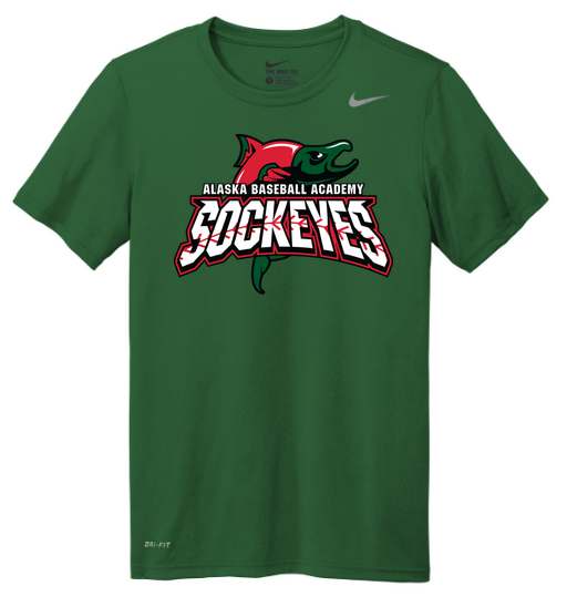 Nike Team rLegend Tee