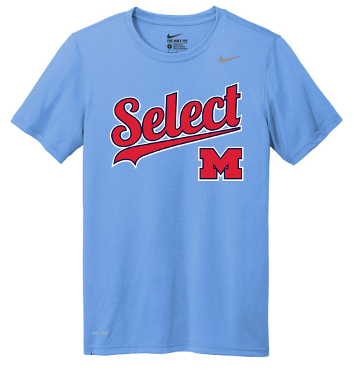 Nike Team rLegend Tee
