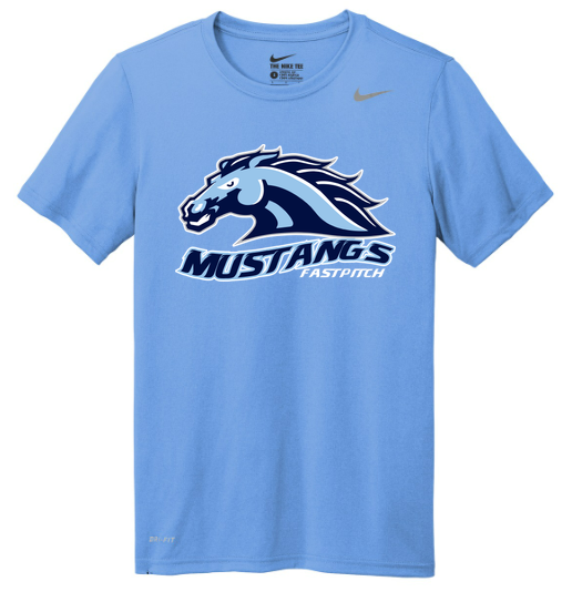 Nike Team rLegend Tee