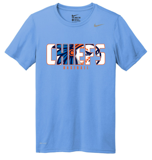 Nike Team rLegend Tee